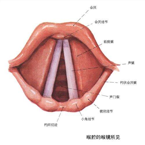 你是否患有这些声带息肉症状