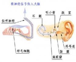 耳鸣预测，你能判断出来吗？