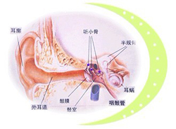 耳朵流水究竟是怎么回事，哪种方法治疗？