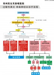 郑州民生耳鼻喉医院：过敏性鼻炎 单病种综合诊疗流程